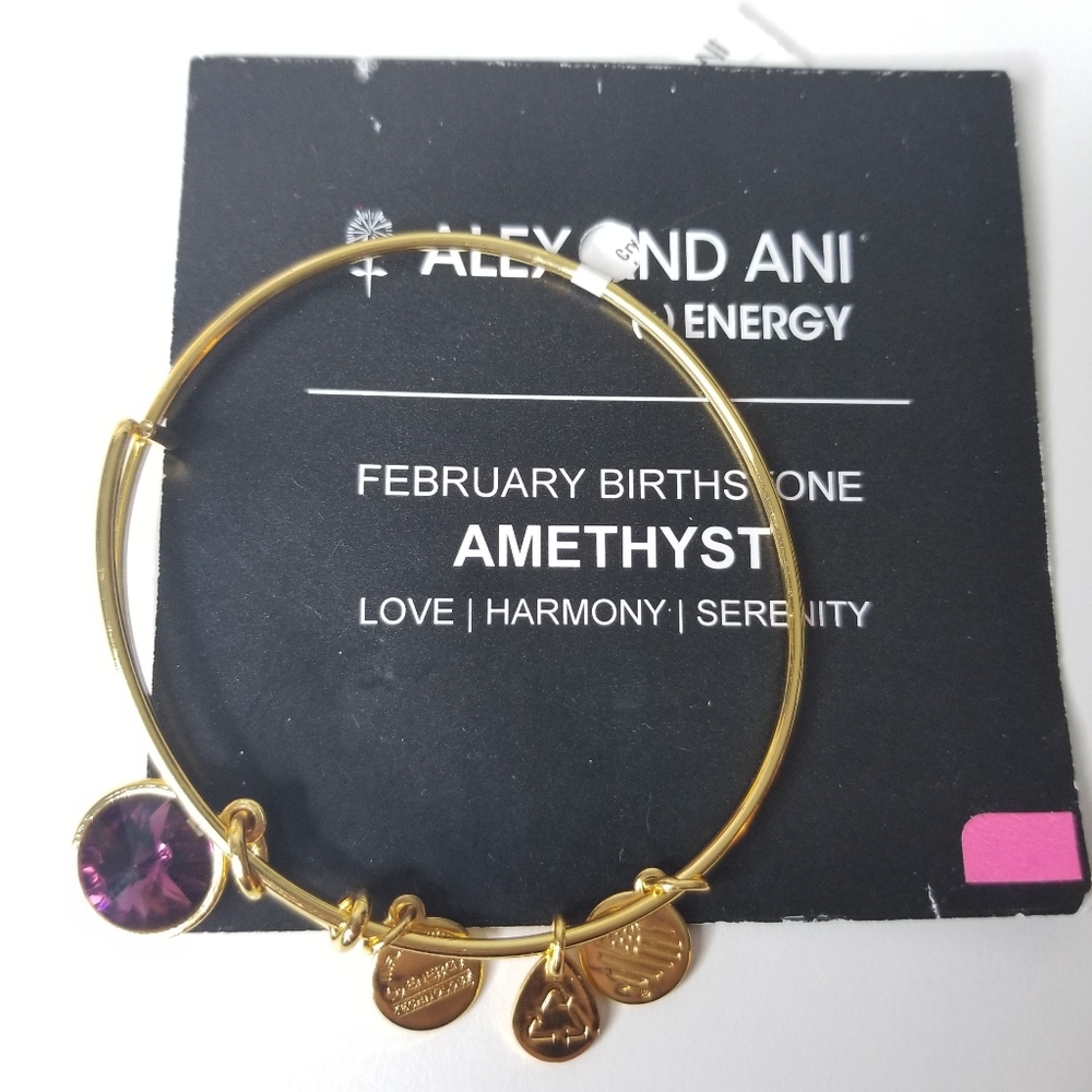 NWT Alex and Ani Bracelet Amethyst